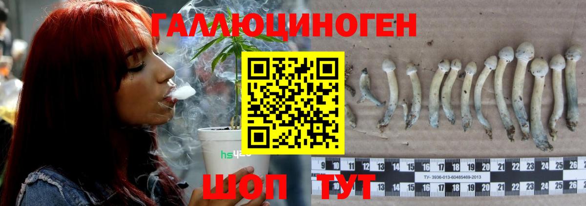 Янаул  закладка  Вход с VPN  Псилоцибиновые грибы Psilocybe 